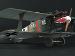 32041 1/32 Roland C.II Late - Dave Johnson NZ (22)